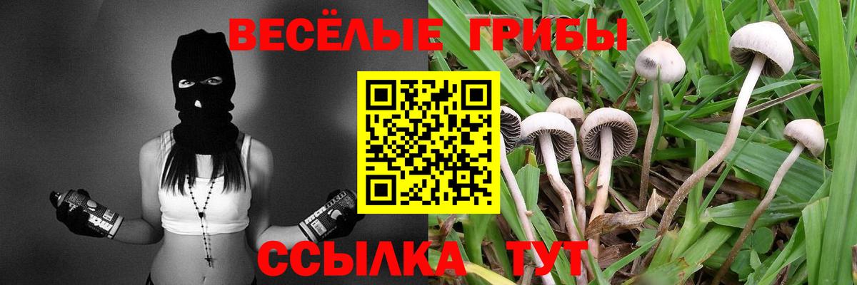 Ишимбай  Галлюциногенные грибы мицелий  купить наркотики сайты  Псилоцибиновые грибы GOLDEN TEACHER  Вход с VPN 