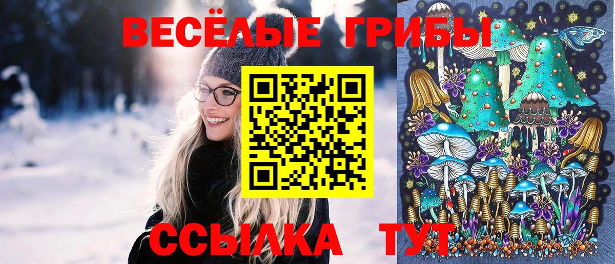 Псилоцибиновые грибы Psilocybe Ишимбай